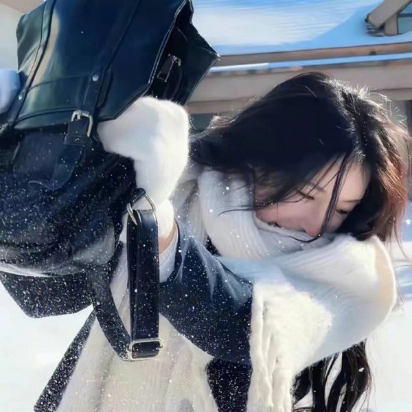 猫狗武林
